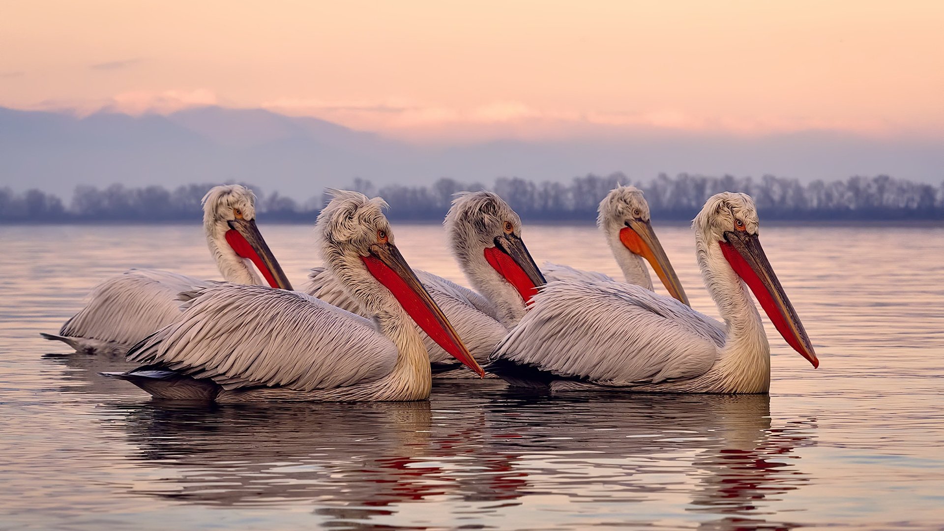 爱游戏app-“梦想启航”青少年篮球夏令营在湖南火热进行中，2020年湖南青少年篮球锦标赛