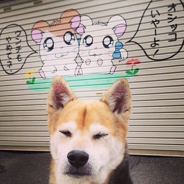 AYX GAMING-“校园足球联盟成立，共同推动青少年足球发展”，校园足球联赛好处