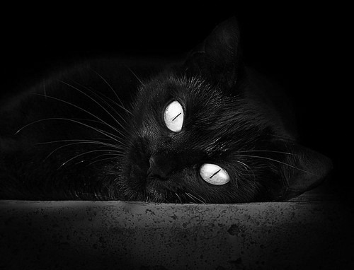 “绿色动力”崛起:新能源在WRC中的深度布局,新能源 vcu