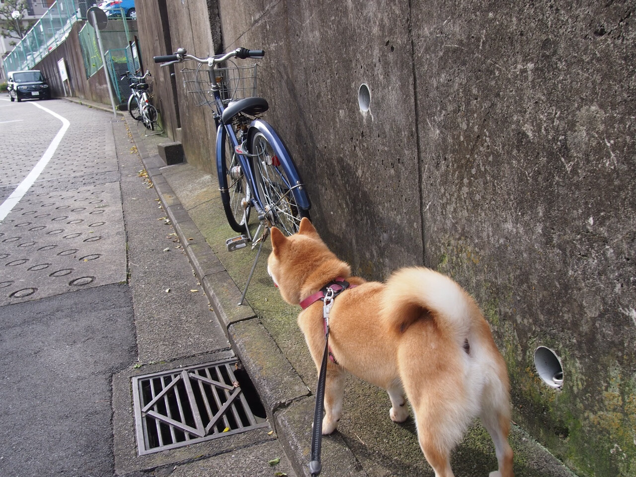 “英超强队疯狂追分,即将迎来最关键比赛”,英超强强对话