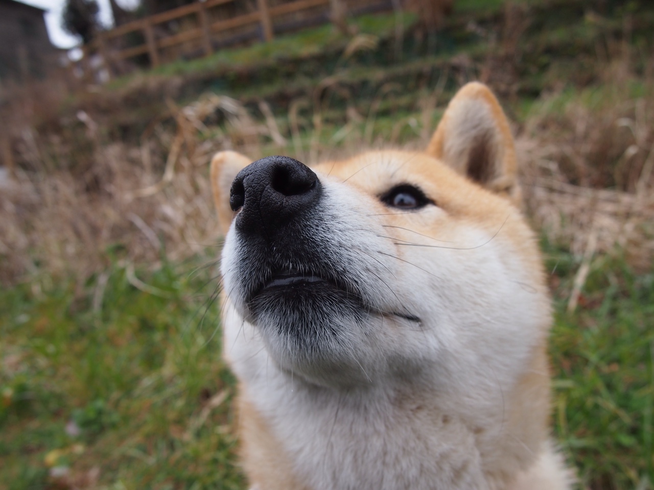 -“西甲豪门对决：一触即发，谁能笑到最后？”，西甲豪门有哪些
