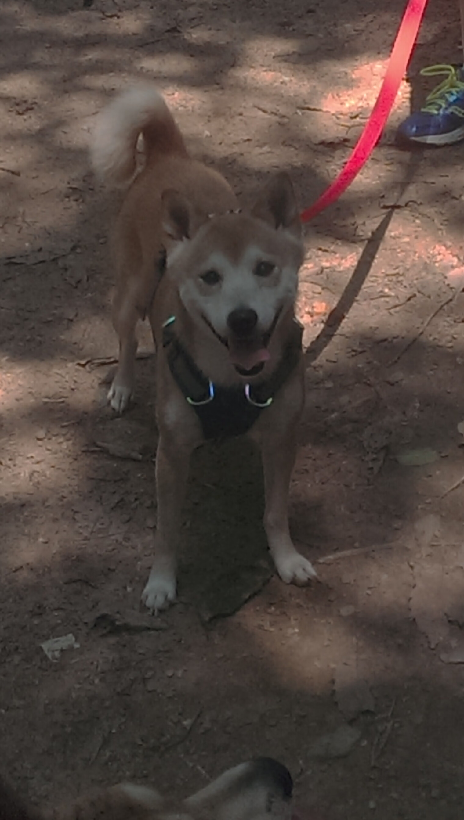 AIYOUXI.COM-“足球场景结合智能交通系统，推动体育旅游发展”，智能化足球场