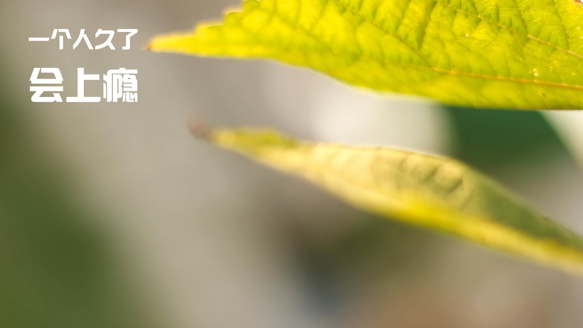 《Dota 2漫威对决，英雄们的传奇战场》，漫威对决官方网站