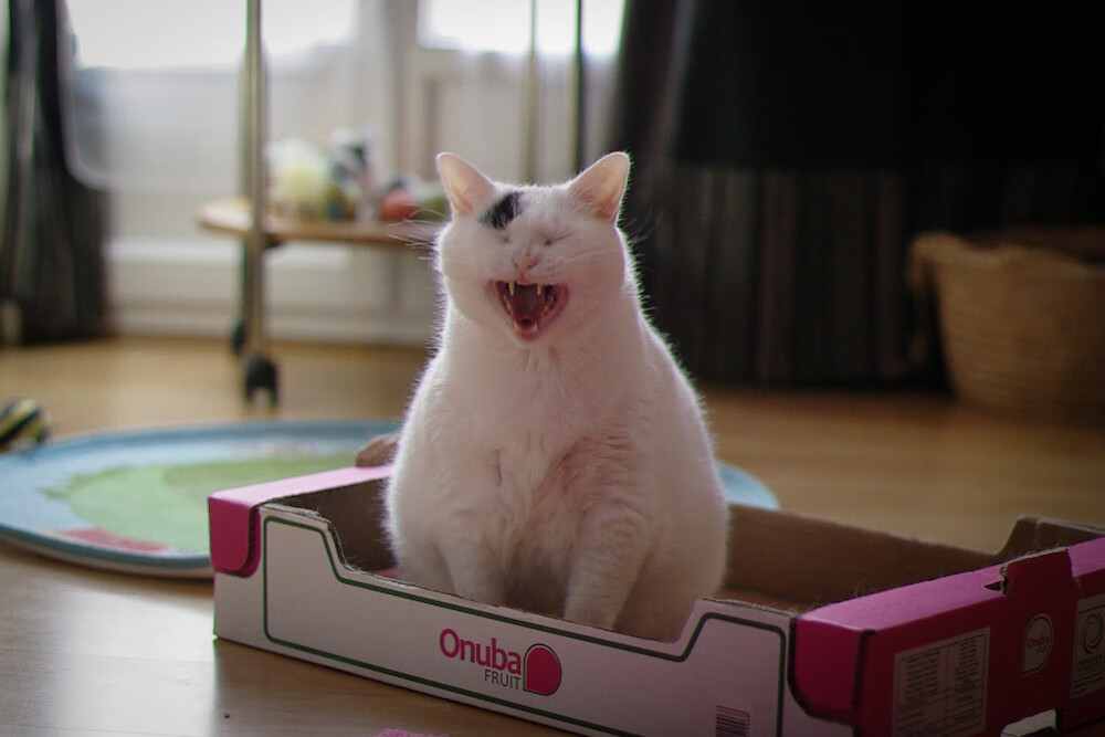 AYX SPORTS-《电竞联盟动态：最新政策与行业规范》，2020国家对电竞行业的政策