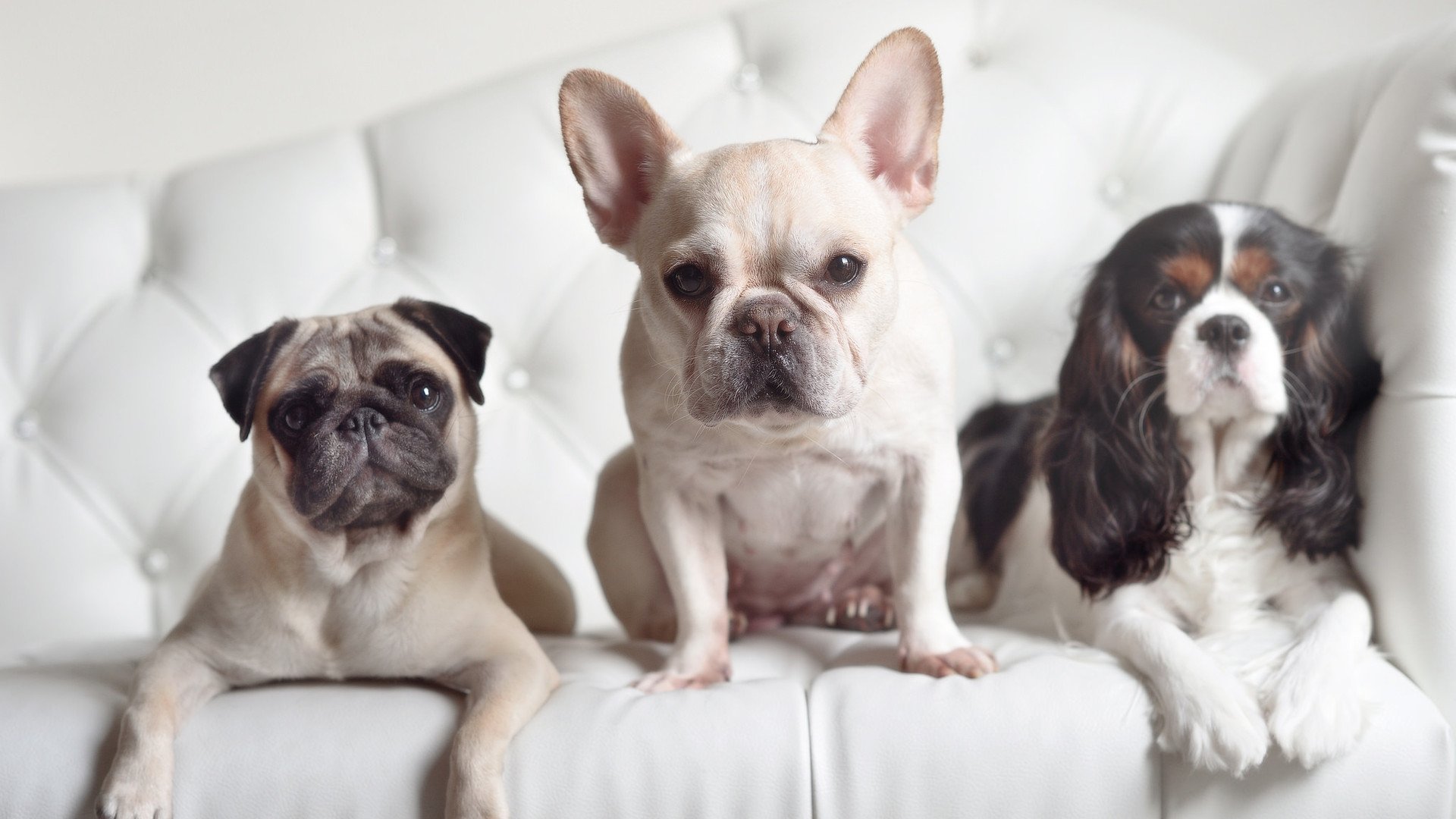 中国国家游泳队公布新赛季名单,年轻力量崛起,中国国家游泳队训练