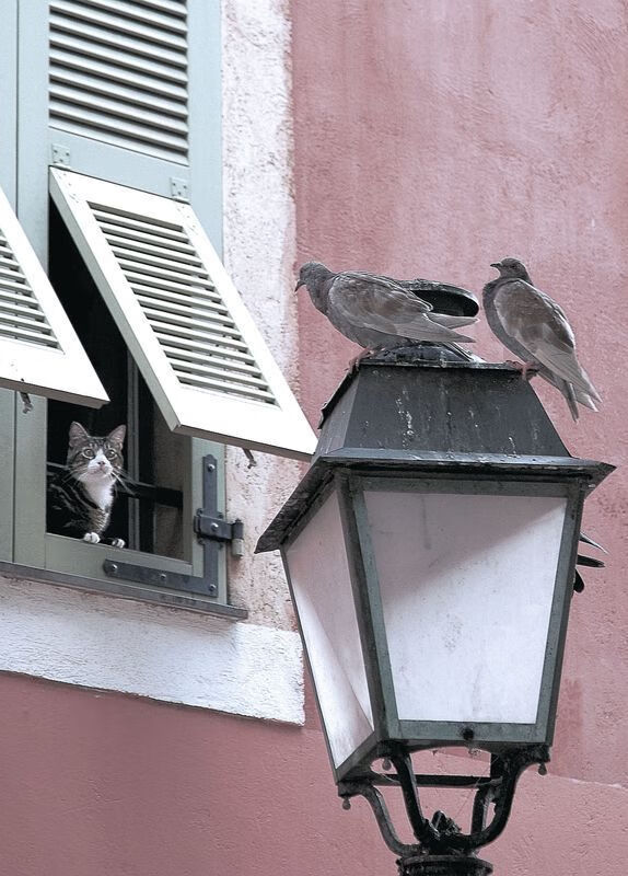 今年NBA季后赛最令人瞠目结舌的逆转比赛集锦，今年nba季后赛最令人瞠目结舌的逆转比赛集锦