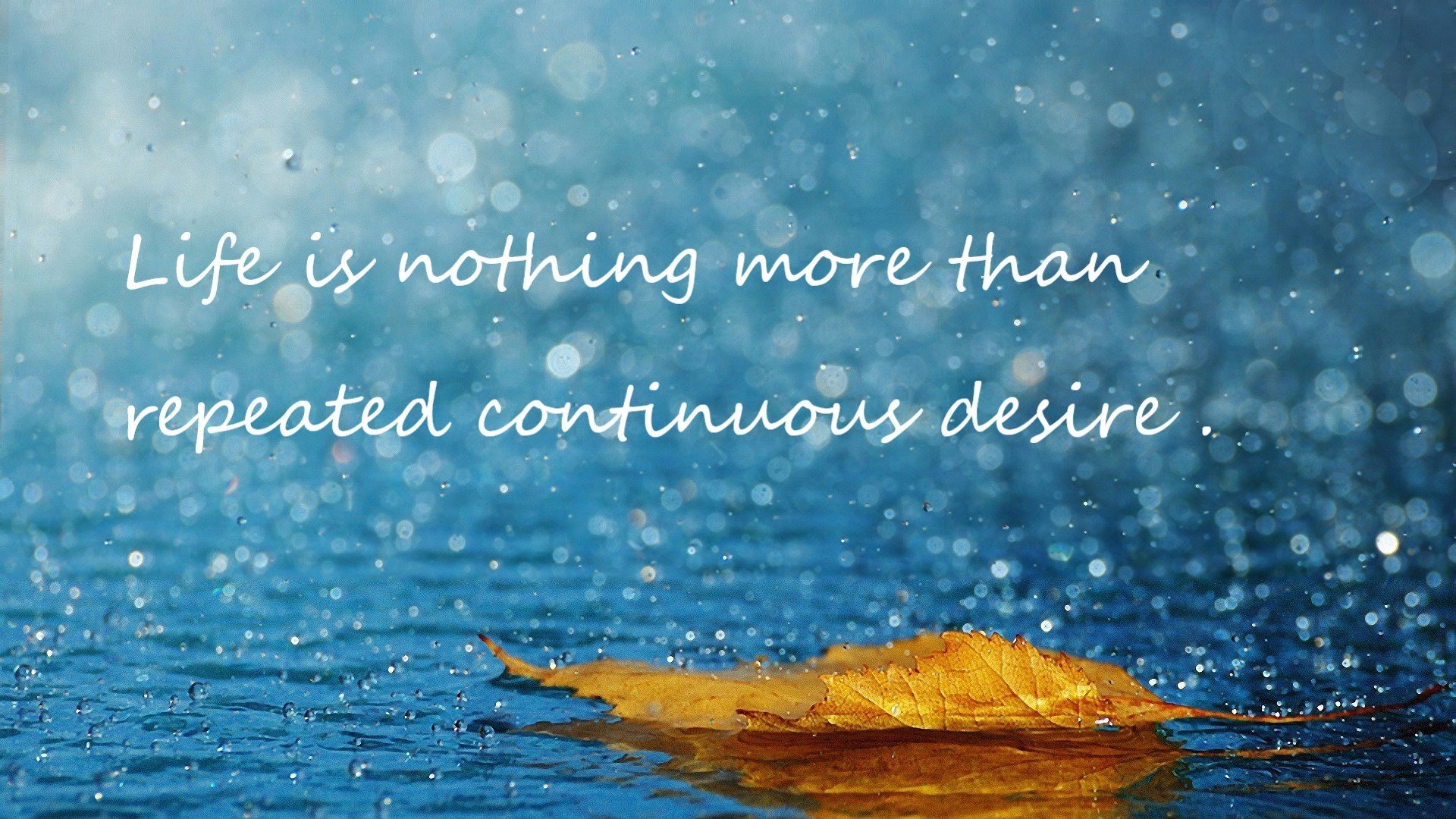 伊朗马术协会与兽医合作,开展马匹疾病预防与治疗研究。,伊朗masaf