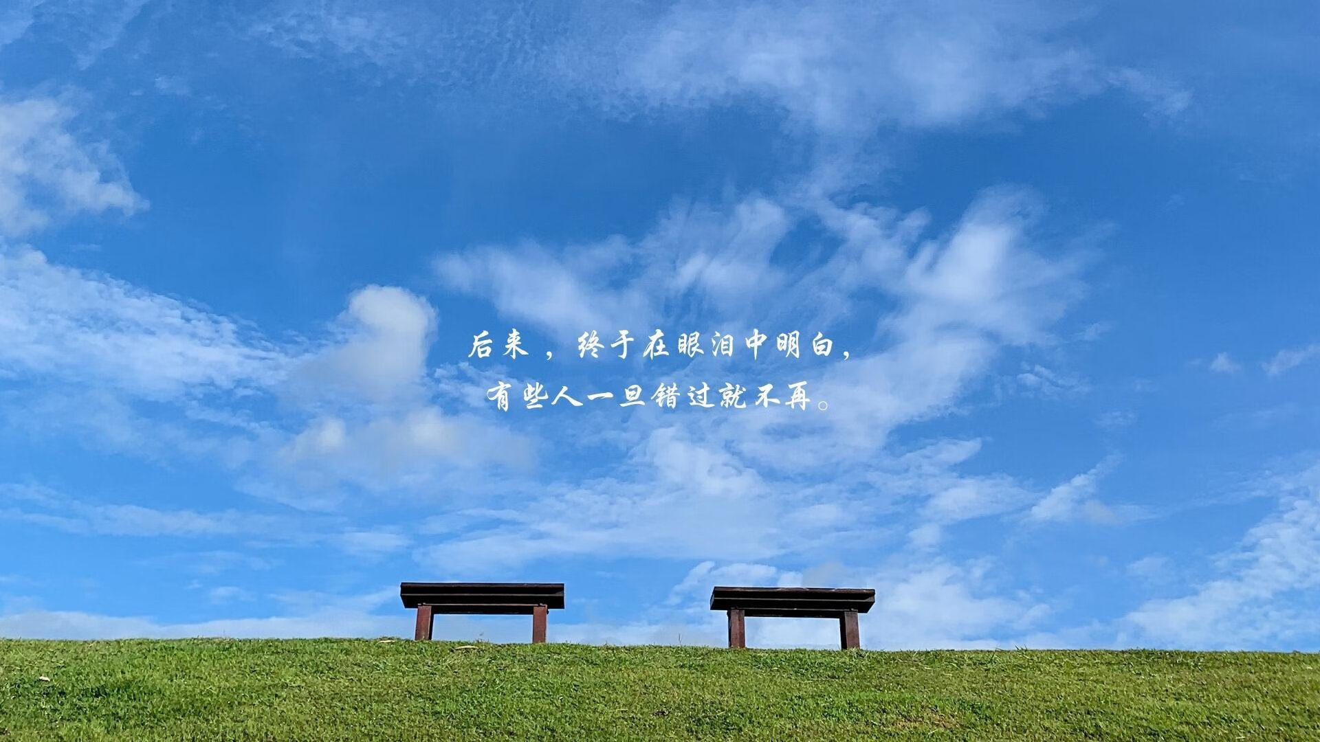 全国青少年“篮球教育联盟”正式成立,推动青训行业规范化,全国青少年篮球训练营