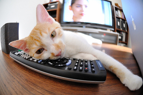 爱游戏官方网站-篮球项目助力贫困地区儿童健康成长，小学生乡村篮球队