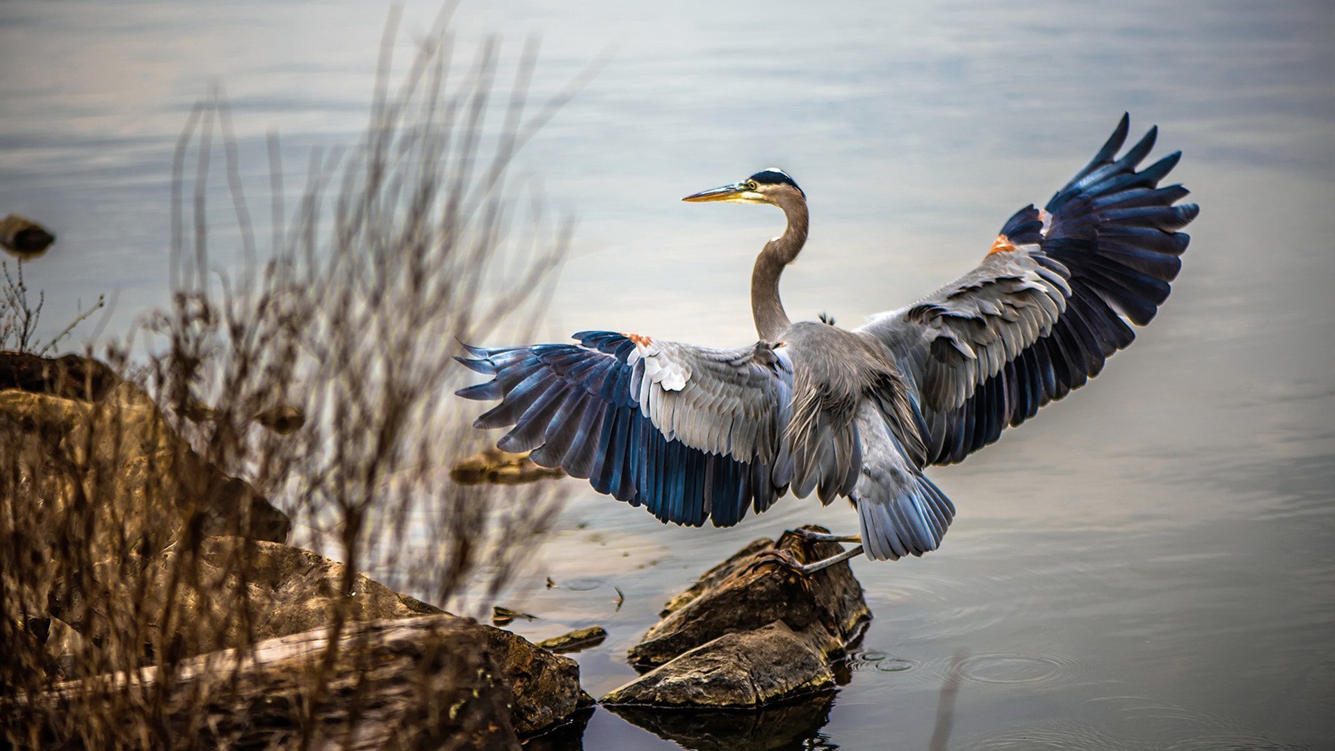 AC米兰客场惨败，失去追赶机会，ac米兰客场战绩