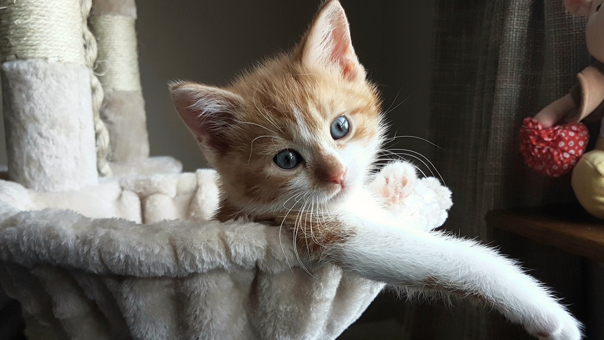 爱游戏官网-Gen.G战队比赛录像分析分享，gen.g战队百度百科