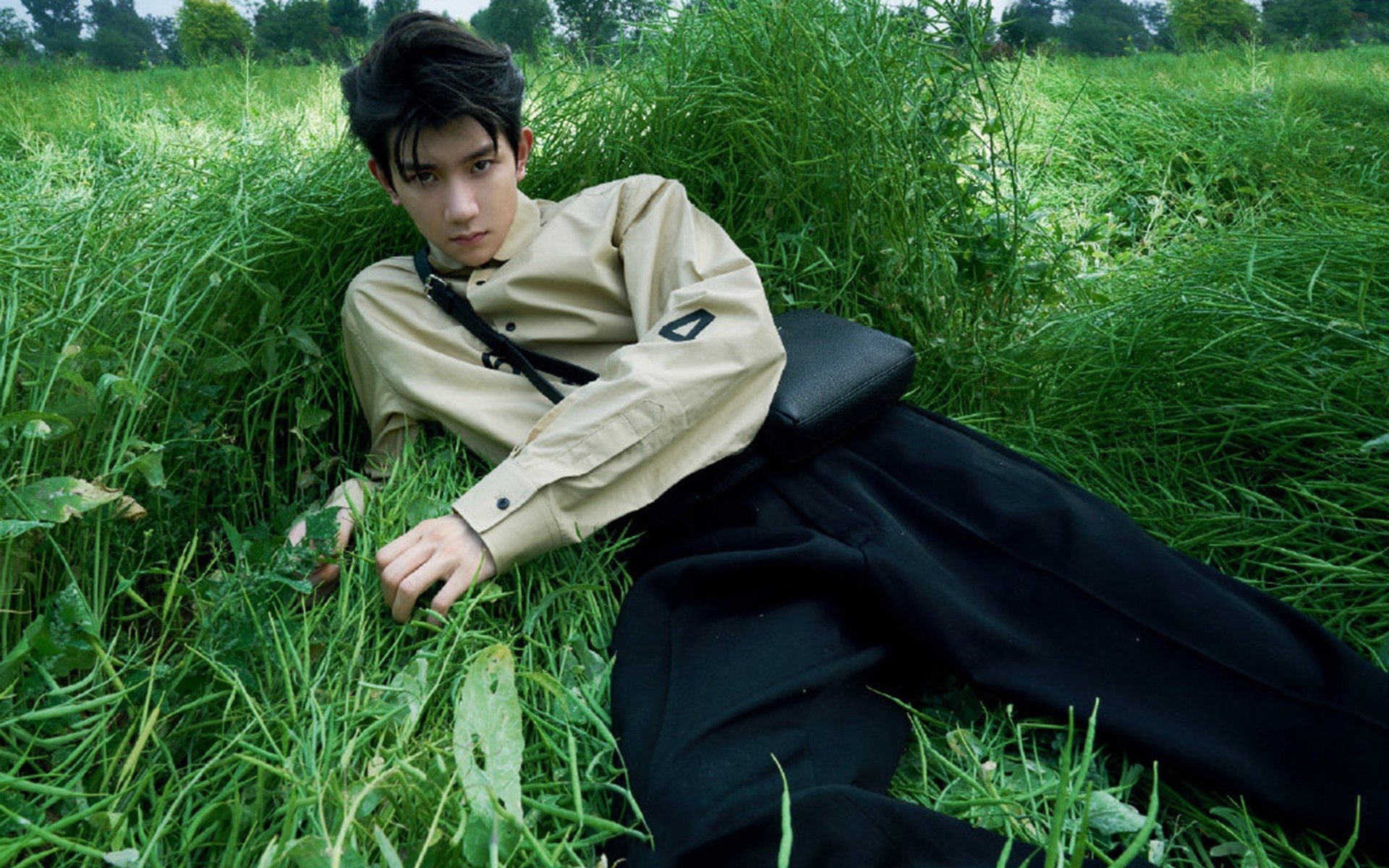 爱游戏娱乐-中国跳水梦之队包揽前四，施廷懋再次夺金，中国跳水梦之队全集