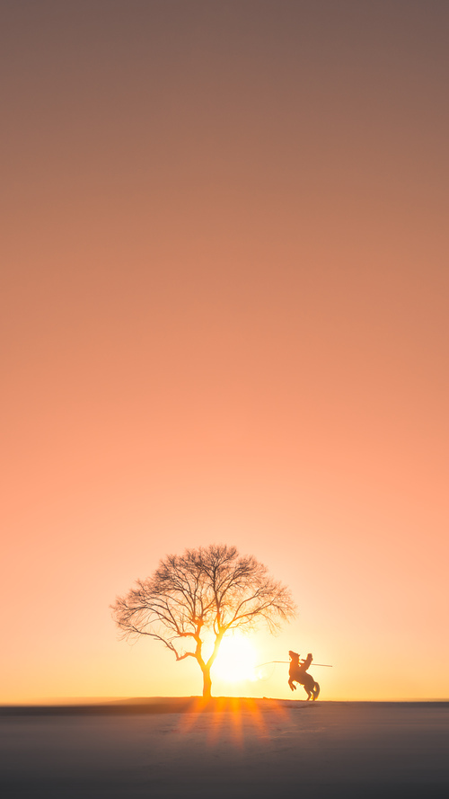 爱游戏中国官方登录入口网站-大洋洲篮球冠军产生，豪强巅峰对决，大洋洲赛区冠军