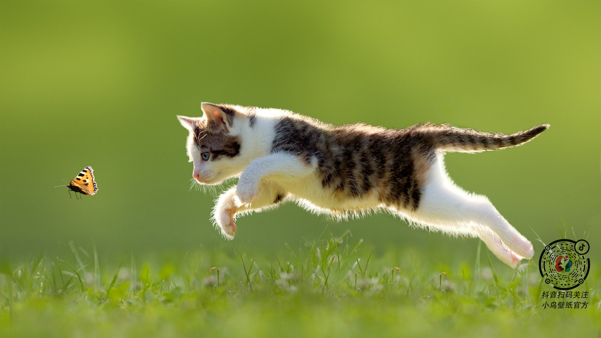 爱游戏体育-格拉纳达连胜达到五场，状态火爆，格拉纳达战绩500