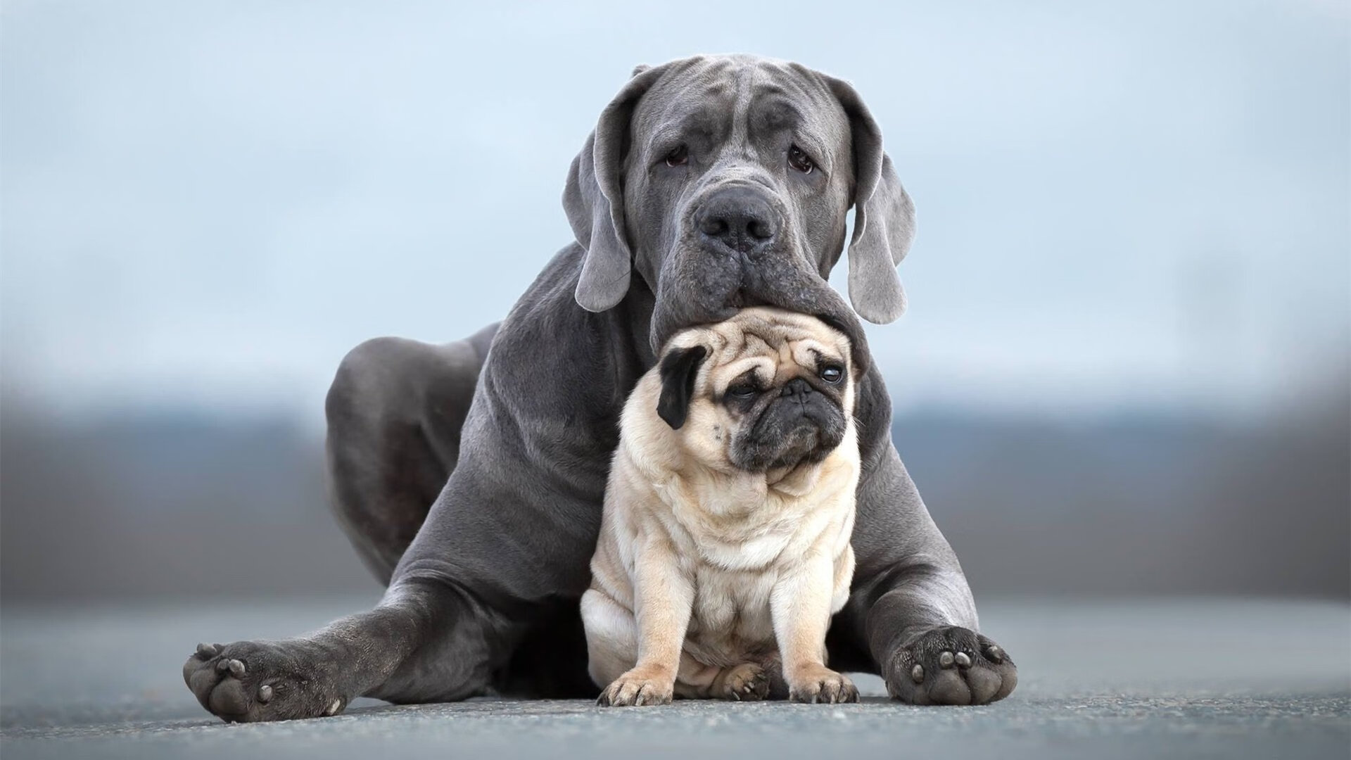 爱游戏中国官方登录入口网站-深圳佳兆业迎战广州恒大，胜负之争谁将称霸赛场？，深圳佳兆业对广州恒大