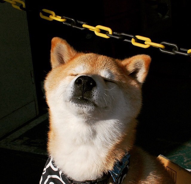 电竞赛事场馆设计与观赛体验优化,电竞赛事场地布置