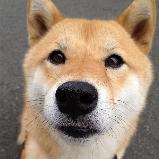 美因茨球队在场上表现出色,以出色表现赢得比赛,美因茨俱乐部官网