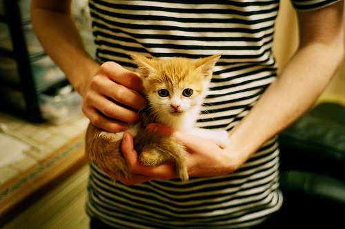 长春亚泰主场力克对手,积分榜排名稍有提升,长春亚泰 主场