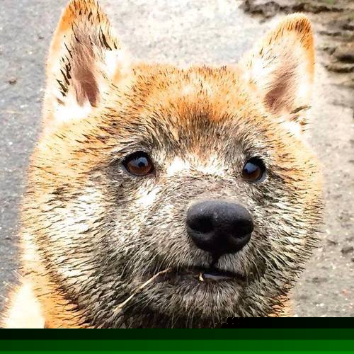 体育新闻中心主办体育文化数字创新研讨会,数字体育项目