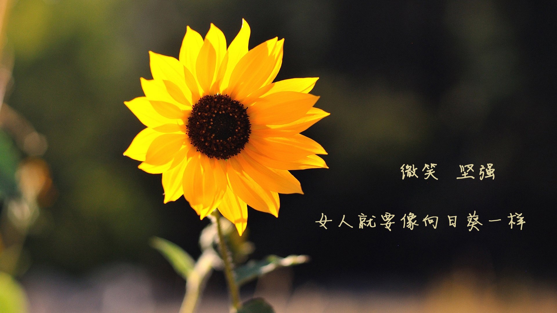 国家队备战计划执行不到位，战备计划通常每年组织修订几次