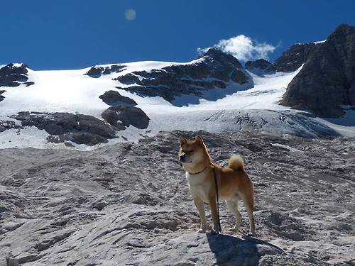 训练记录智能化管理提升教练决策效率,简述教练员的智能结构与考核要求