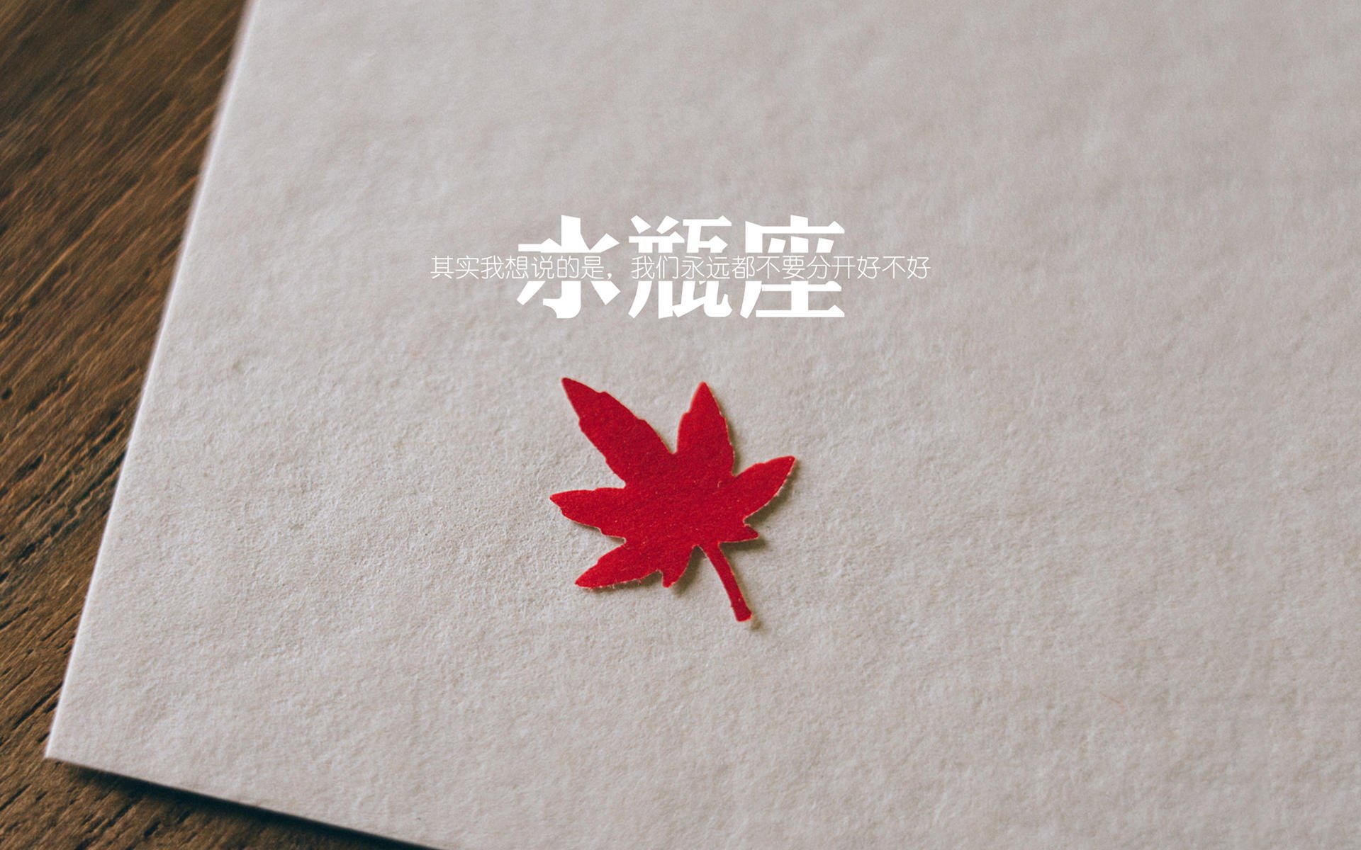 青年选手逐渐扛起国家队大旗,青年选手逐渐扛起国家队大旗图片