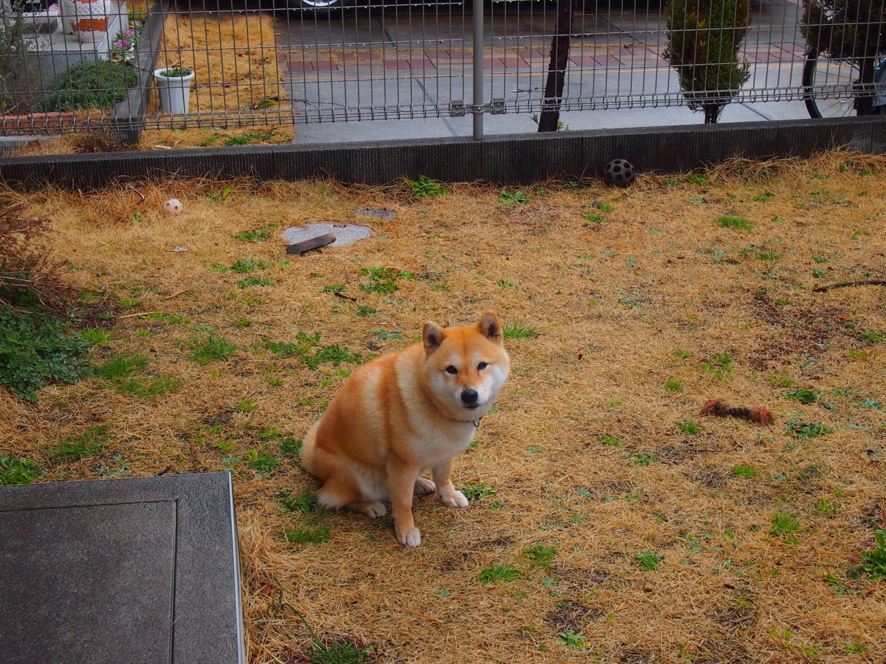 中超俱乐部引入荣誉激励机制激发球员拼搏动力，中超俱乐部怎么盈利