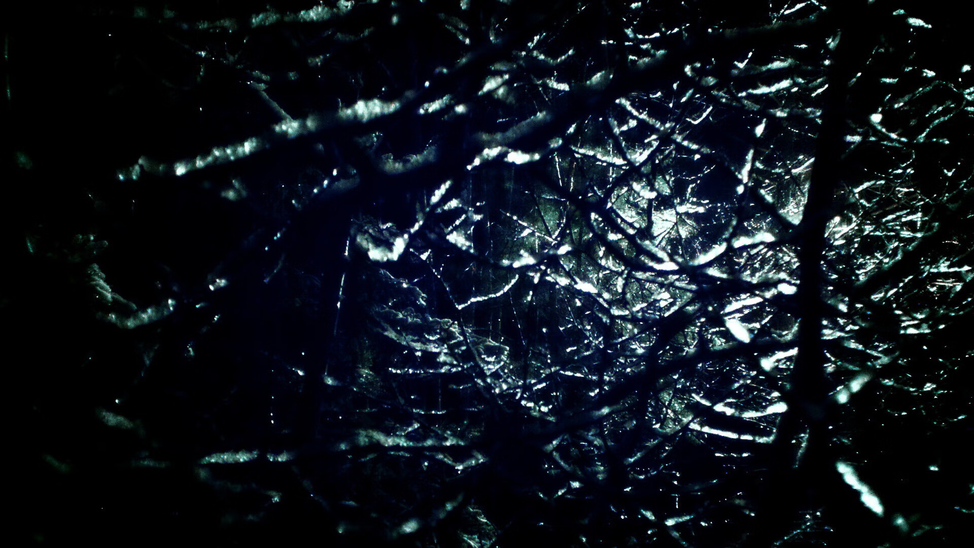 卡特以球场智慧与冷静表现，带领全黑队夺得世界杯，卡特经典比赛全场回放