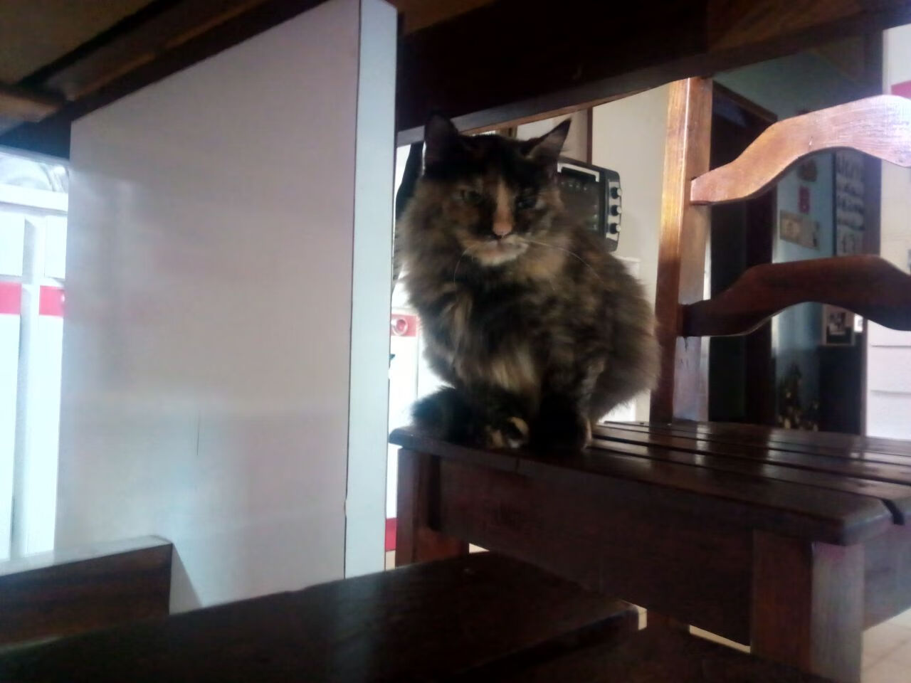 爱游戏在线登录入口-尤文图斯引援成功，中场实力大提升