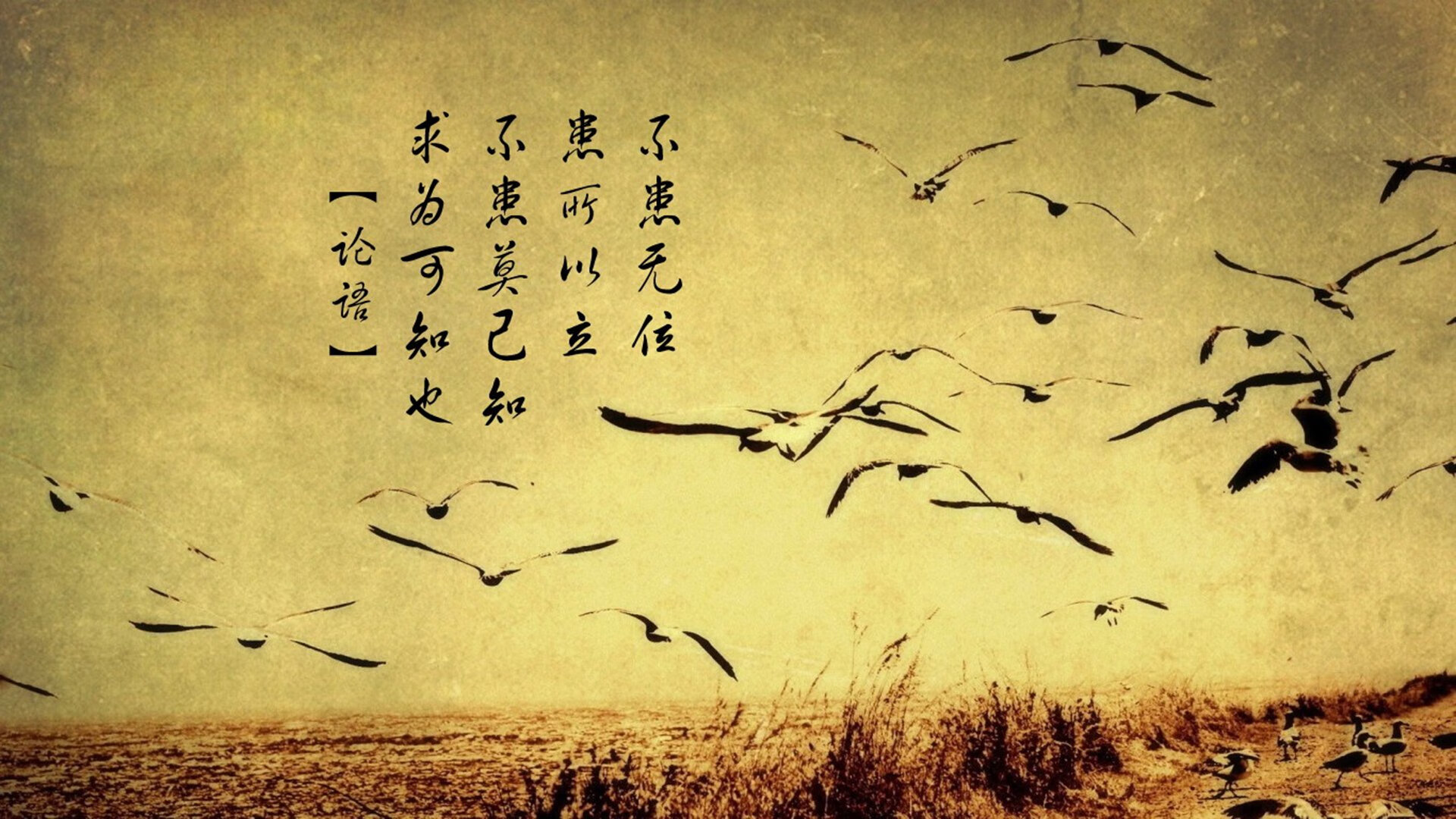 斯滕伯根决赛中段加速领跑赛道,斯腾伯格图片