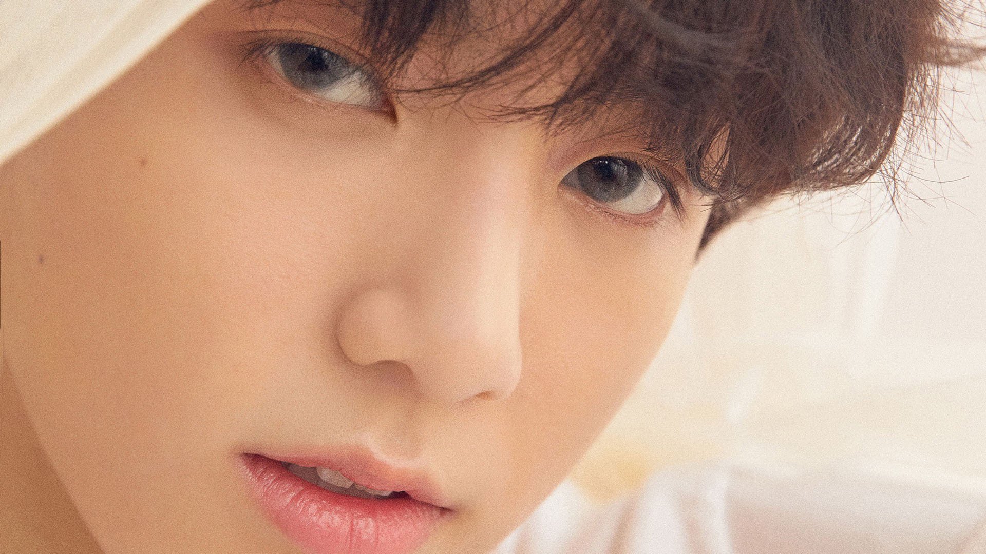 欧洲杯决战现场:精彩瞬间一次次刷新历史,欧洲杯决赛讲解