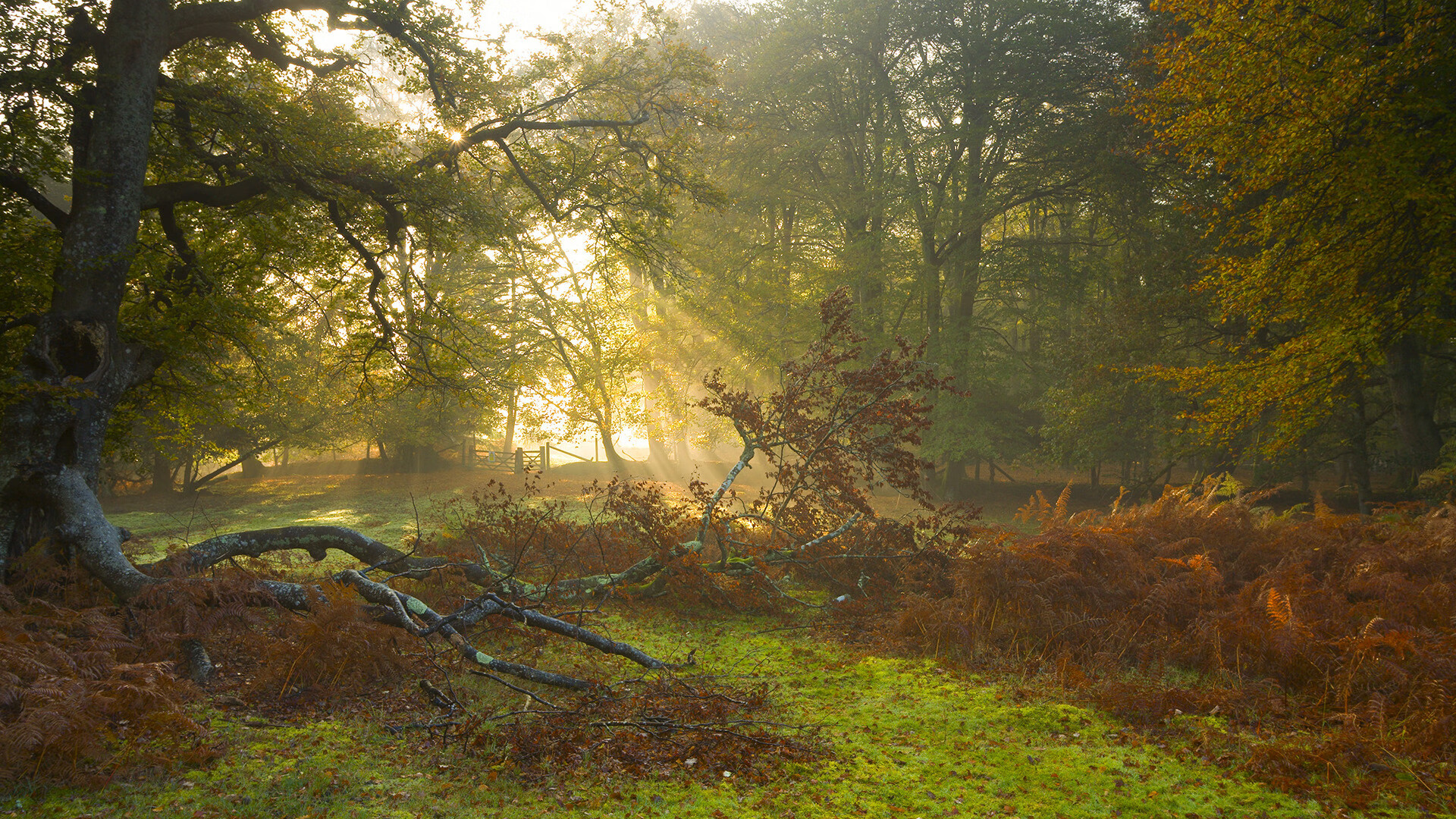 爱游戏下载-裁判判罚标准趋于稳定为比赛营造更加公平竞争环境，裁判的规则