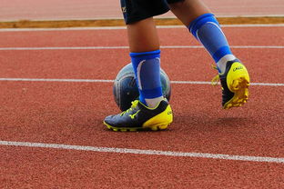 爱游戏体育官方入口-NBA球员训练营最新发展动态，nba球员日常训练项目