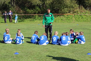 爱游戏登录入口-中国篮球教练员战术创新能力培养研究，篮球教练员职业素养的三大核心