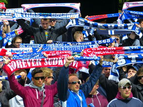 ayx爱游戏官网-球迷文化盛宴：从欧洲到亚洲的足球狂欢，中国足球球迷文化