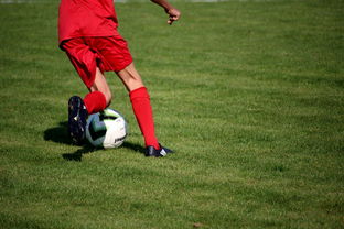 爱游戏体育官方入口-篮球运动员专项技能训练课程体系创新探索，篮球专项训练方案